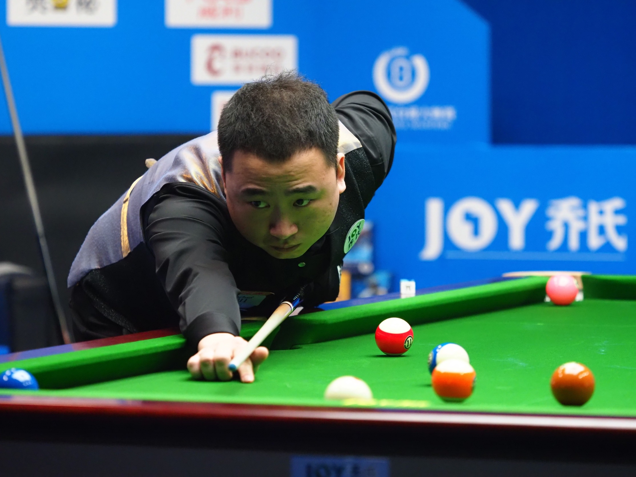 培育出了无 培育出了无