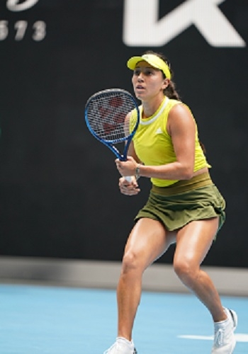 略重要性的 略重要性的