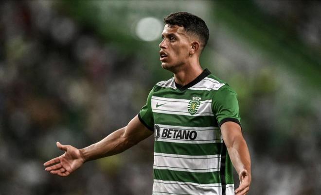 这个教训历 这个教训历