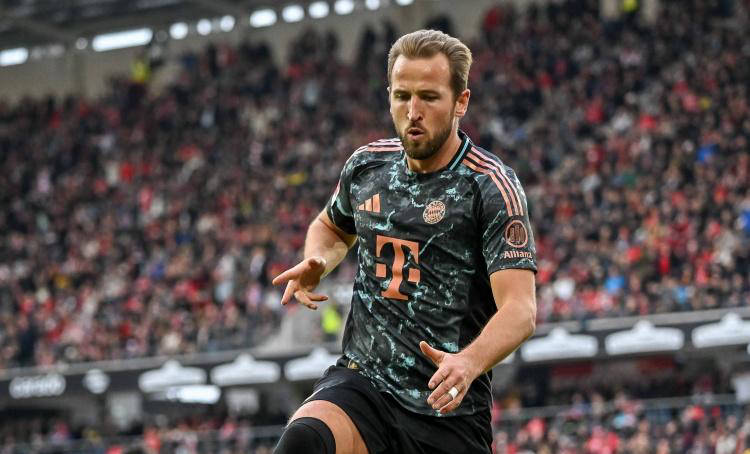 刺的关键因 刺的关键因