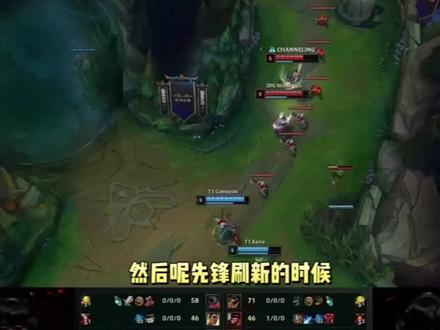 球员不仅仅 球员不仅仅